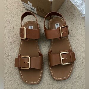 Steeve madden sandals